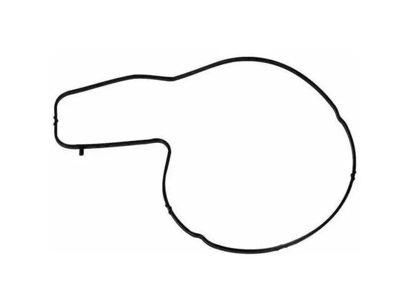 WATERPUMP GASKET