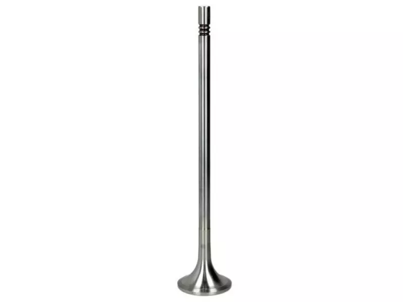 Exhaust valve