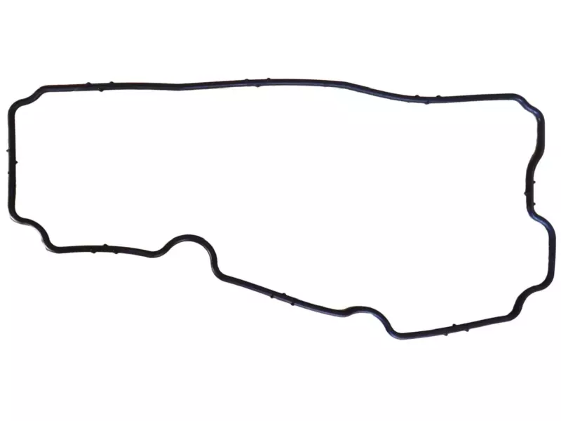 Gasket, Thermostat