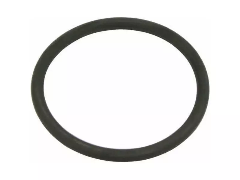 INJECTOR O-RING