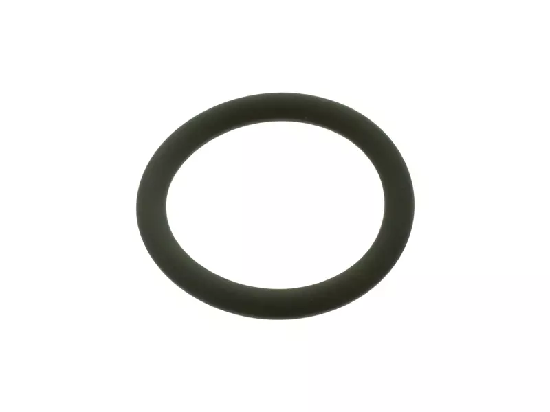 ENJEKTÖR O-RING