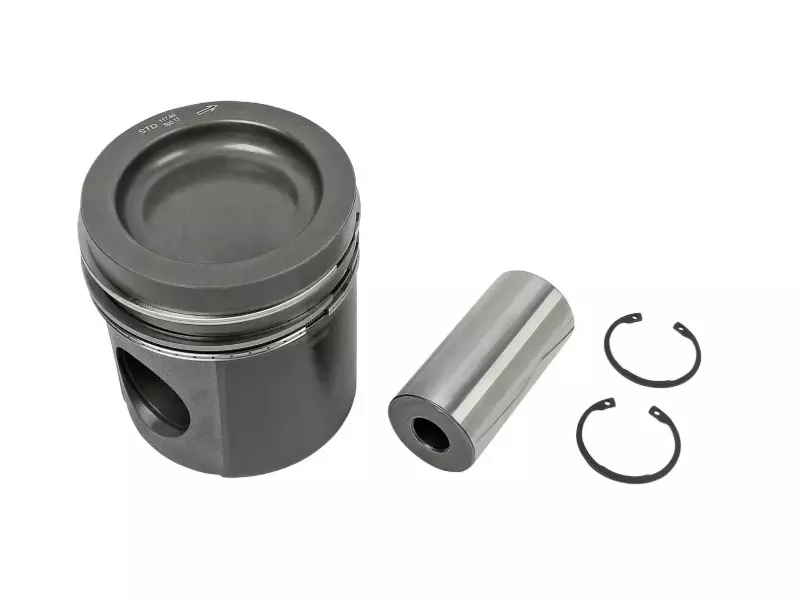 Piston, complete with rings