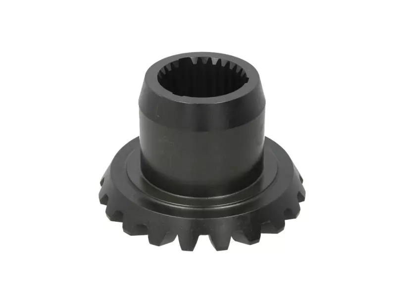 BEYİN BORU DİŞLİ