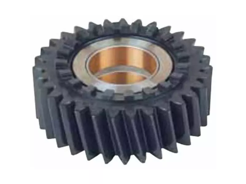 BEYİN DİŞLİSİ (BURÇLU)