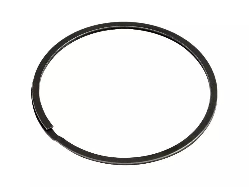 MANIFOLD SEAL RING