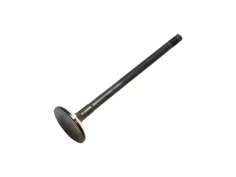 Exhaust valve
