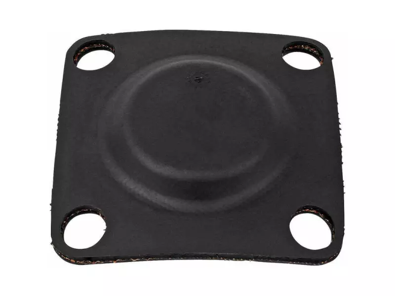 DİYAFRAM TOZ LASTİĞİ