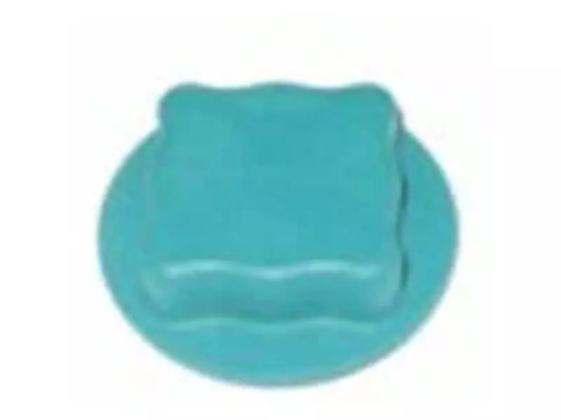 EXPANSION TANK CAP