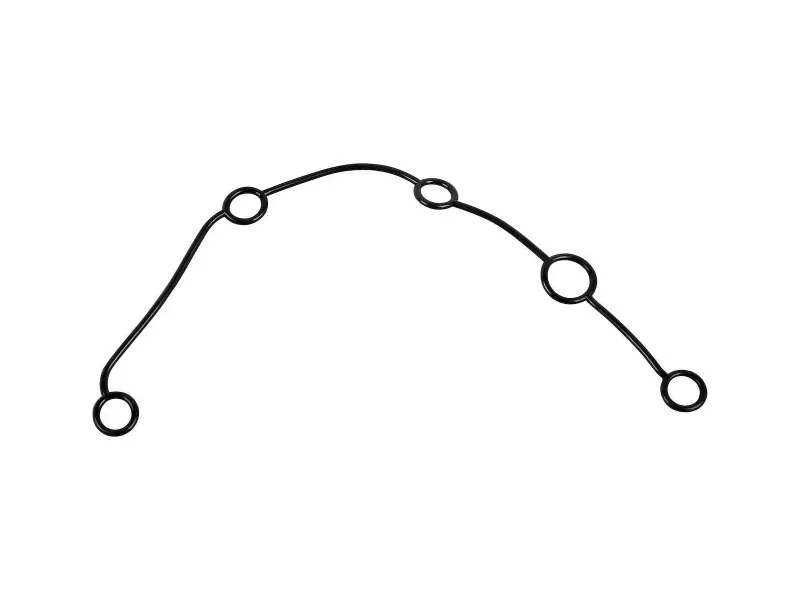 Sealing strip, timing case