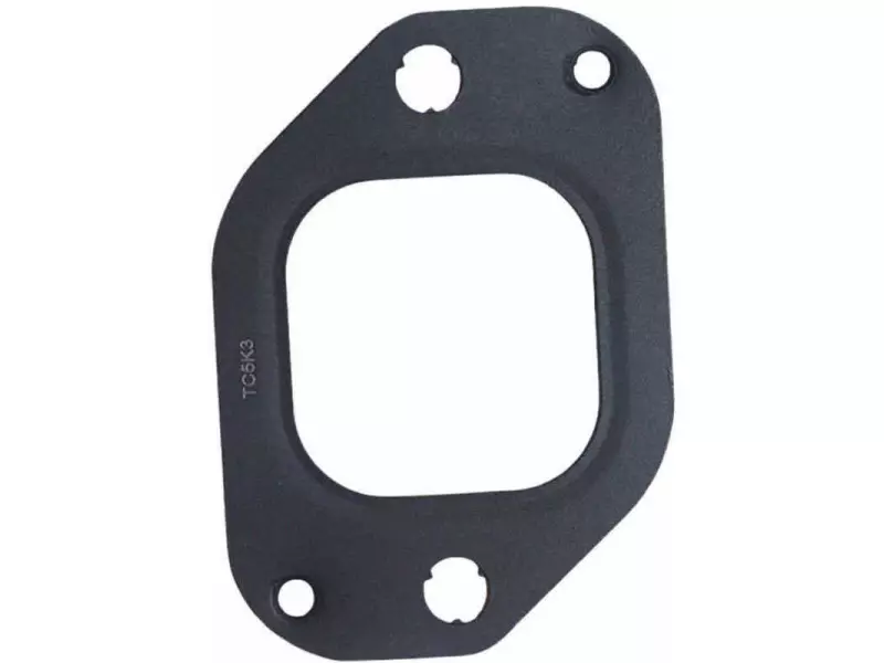 MANIFOLD GASKET
