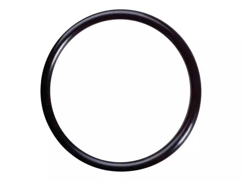 O-ring