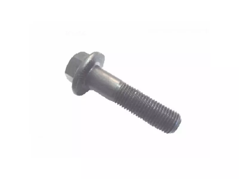 FLANGE SCREW