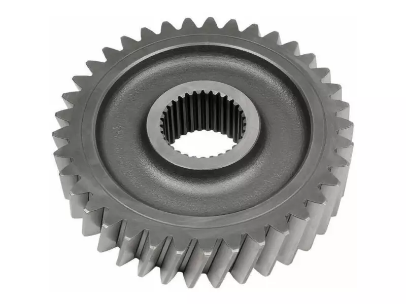 BEYİN GÜNEŞ DİŞLİ