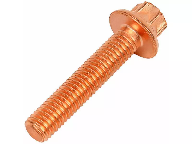 MANIFOLD SCREW