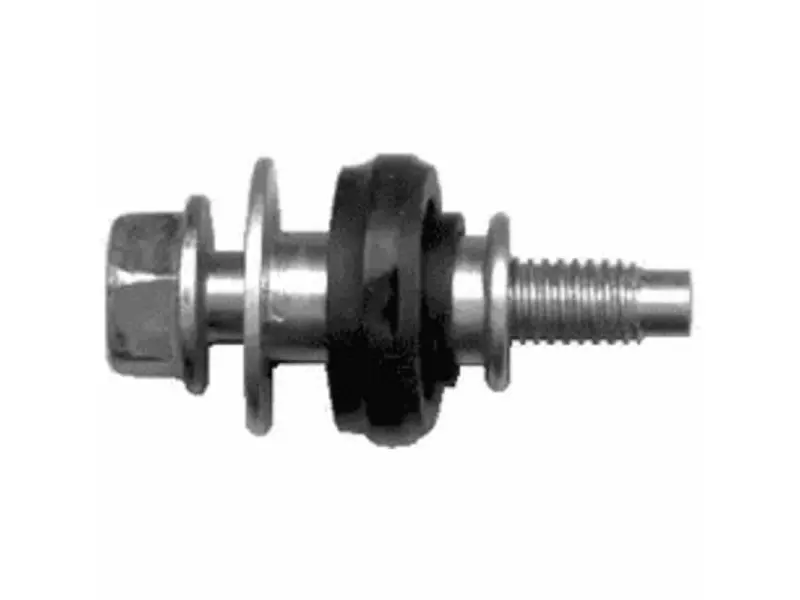 Screw, cylinder head cover