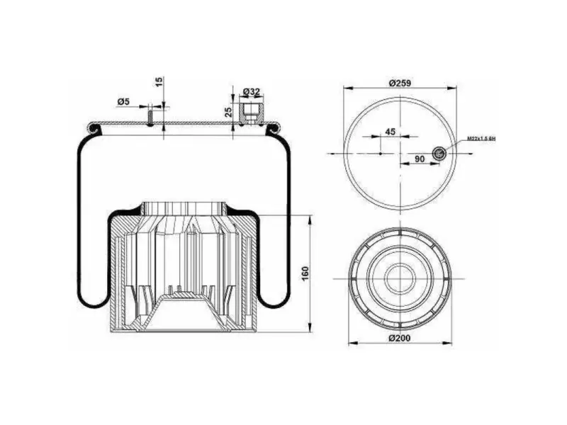 Air spring, with plastic piston