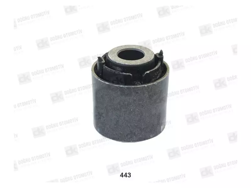 Trailing Arm Bushing