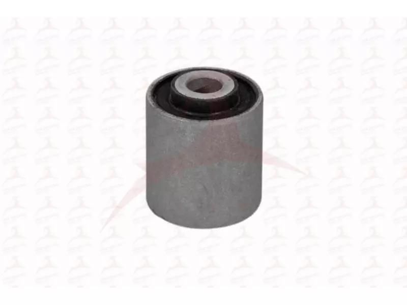 CONTROL TRAILING ARM MOUNTING ( FRONT LH )