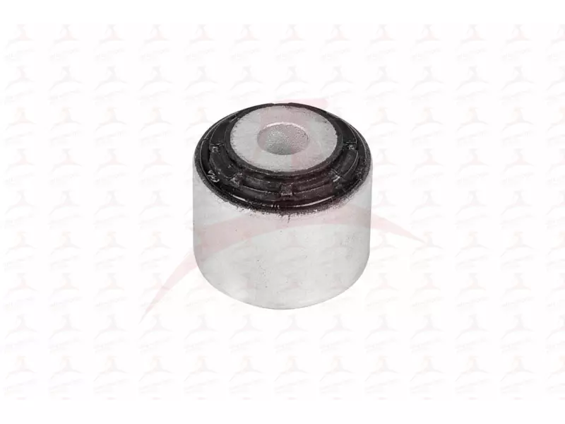 CONTROL TRAILING ARM MOUNTING ( REAR LH )