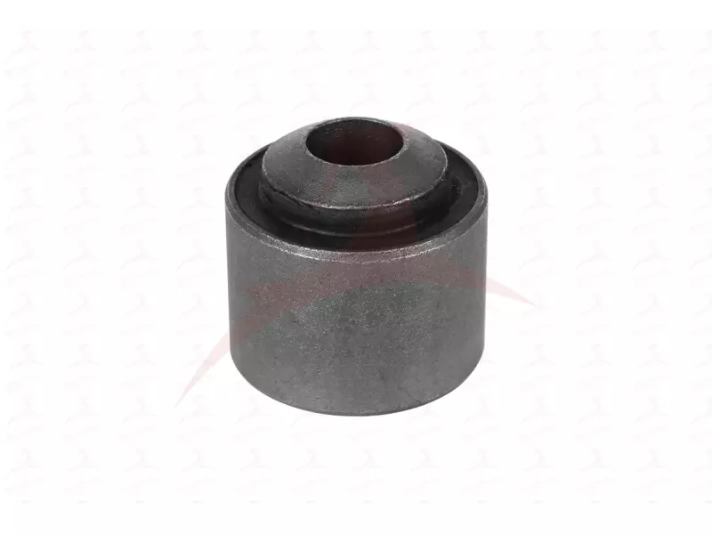 CONTROL TRAILING ARM MOUNTING ( REAR LH )