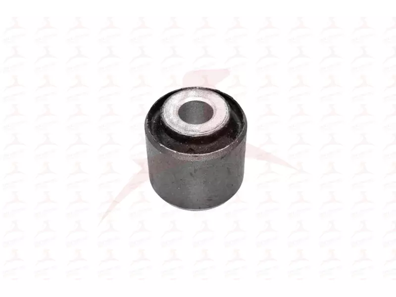 CONTROL TRAILING ARM MOUNTING ( REAR RH / LH )