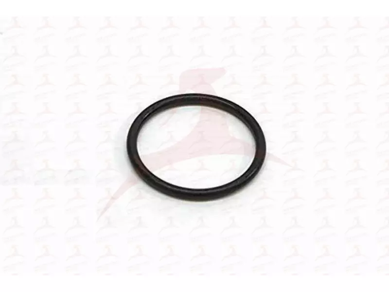 RADIATOR HOSE GASKET