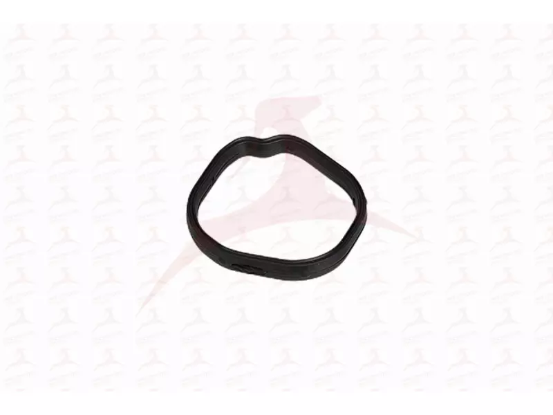 THERMOSTAT BODY GASKET