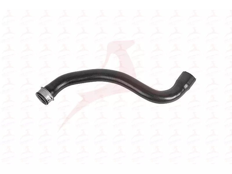 RADIATOR HOSE ( UPPER )