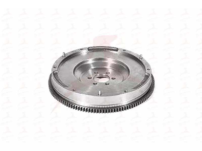 MHV19019