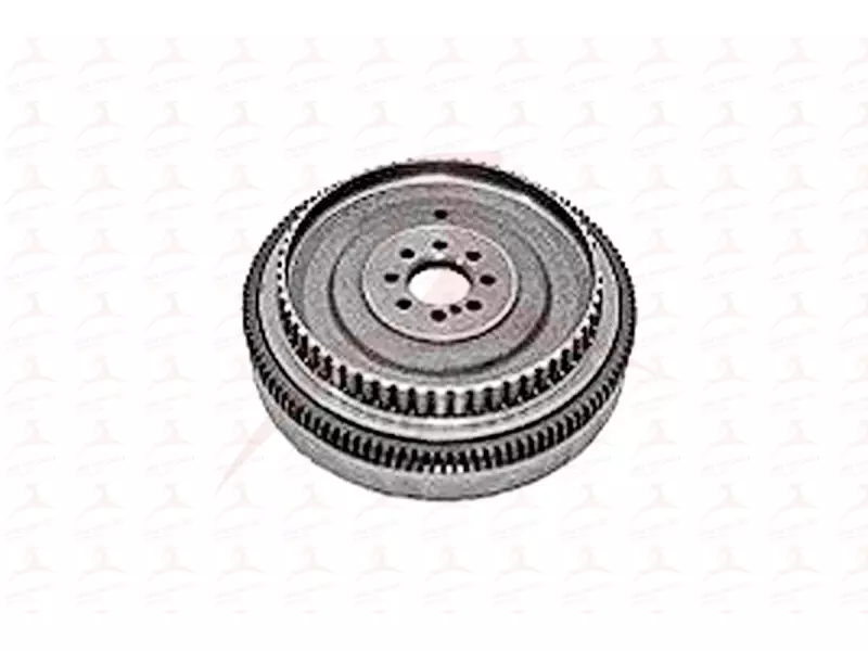 MHV19025