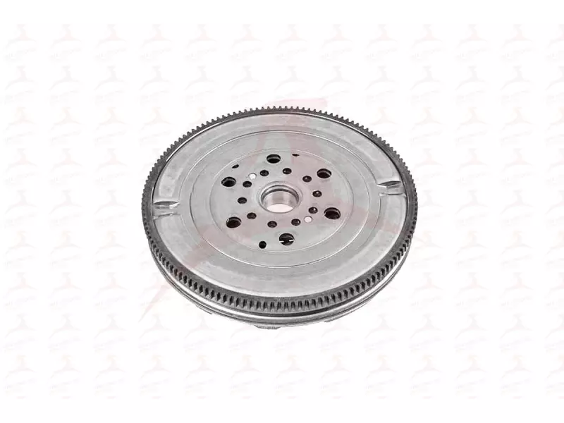 MHV19030