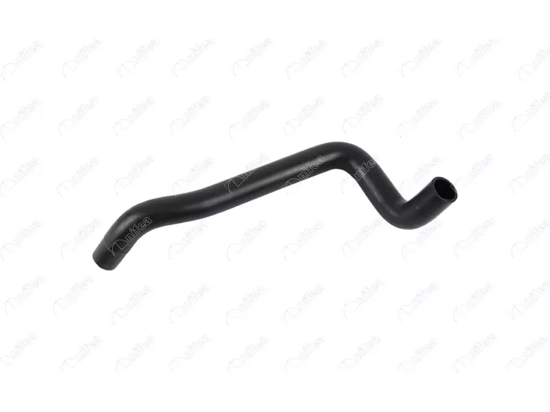 RADIATOR OUTLET HOSE