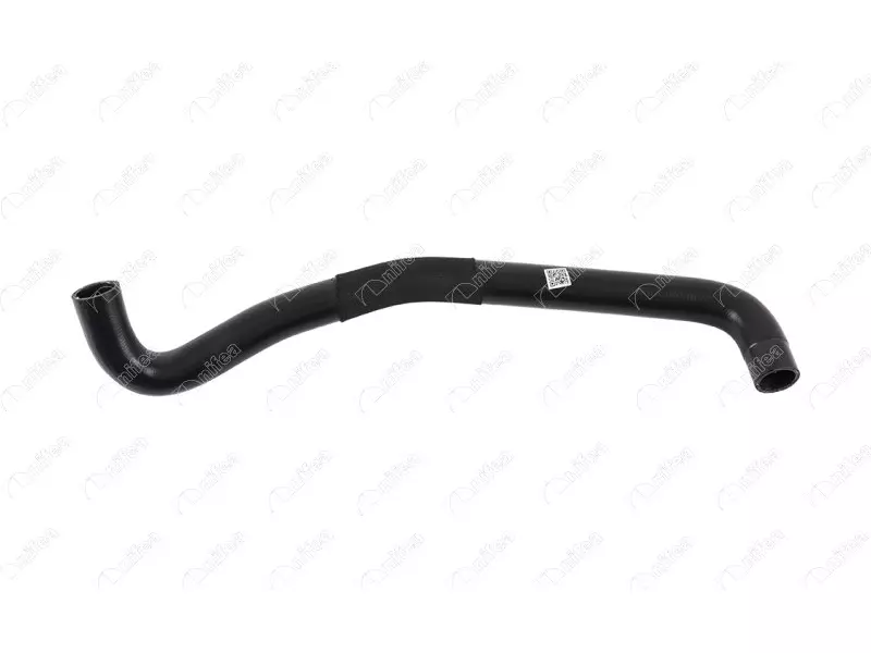 RADIATOR OUTLET HOSE