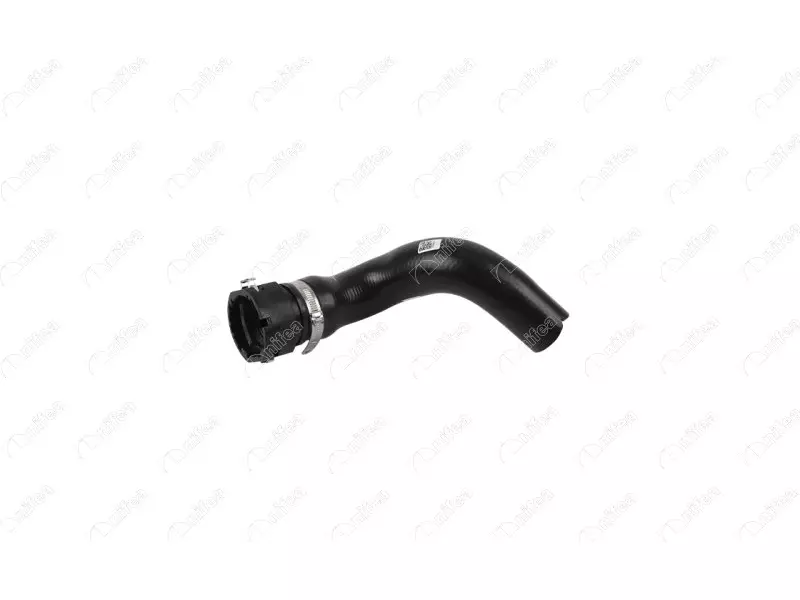 RADIATOR OUTLET HOSE