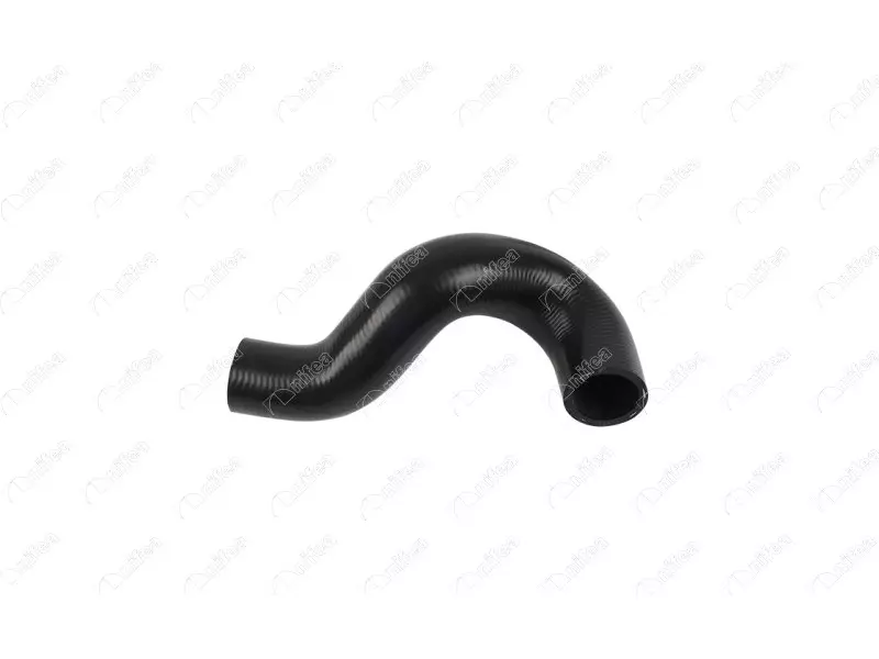THERMOSTAT HOSE