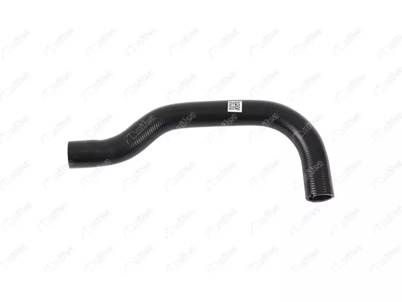 RADIATOR OUTLET HOSE