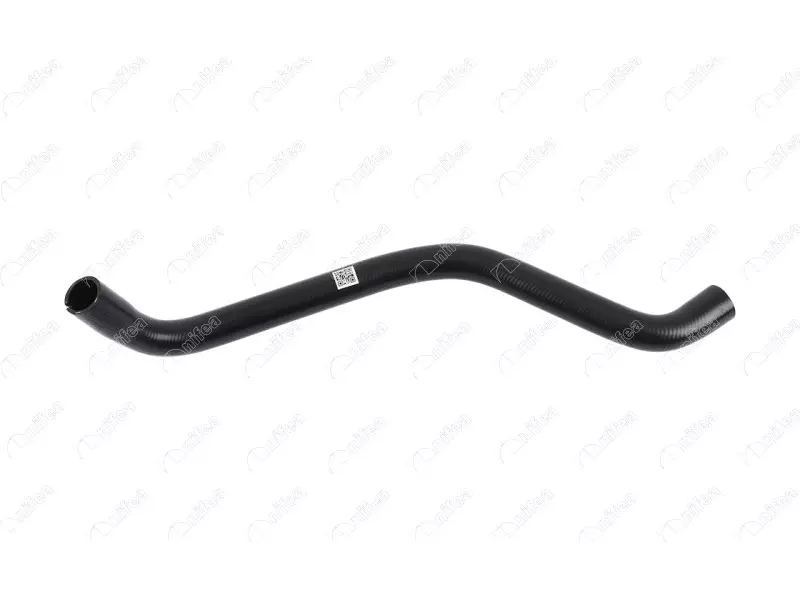 RADIATOR OUTLET HOSE