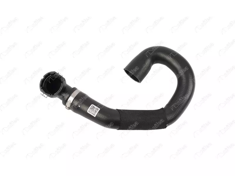 RADIATOR INLET HOSE