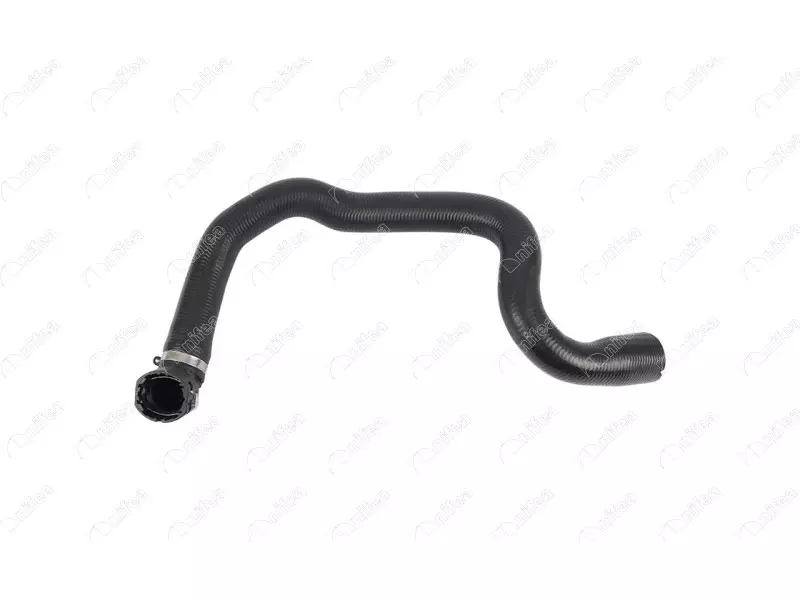 RADIATOR OUTLET HOSE