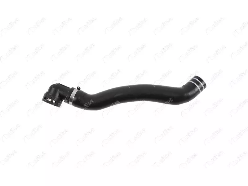 RADIATOR OUTLET HOSE