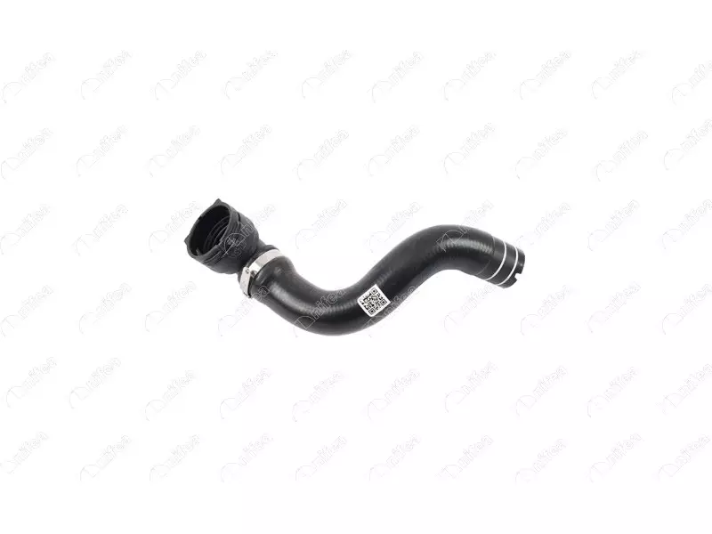RADIATOR OUTLET HOSE