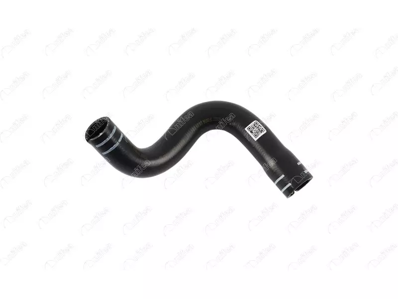 RADIATOR OUTLET HOSE