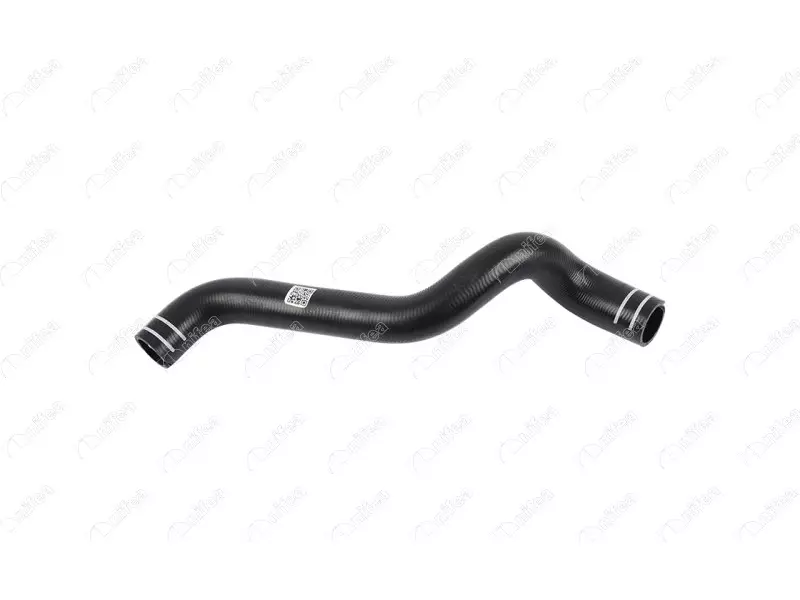RADIATOR INLET HOSE