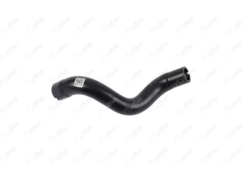 RADIATOR OUTLET HOSE