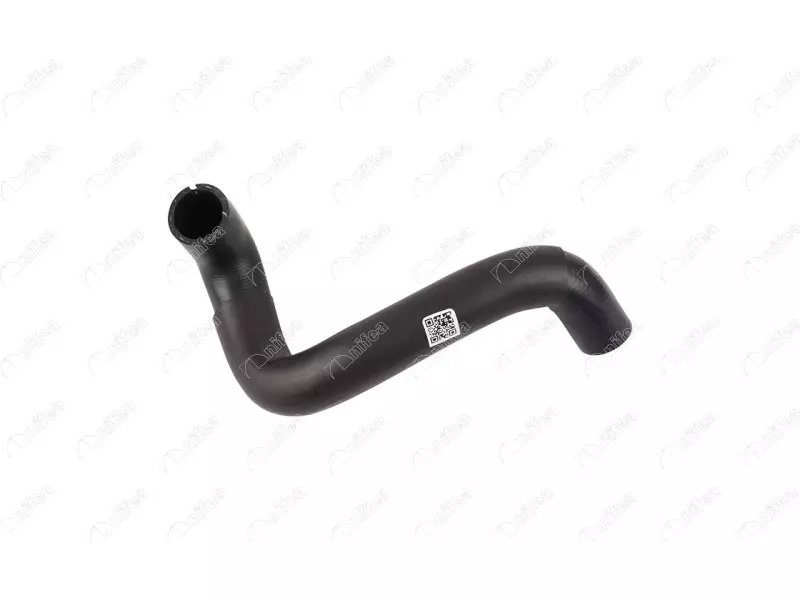 RADIATOR OUTLET HOSE