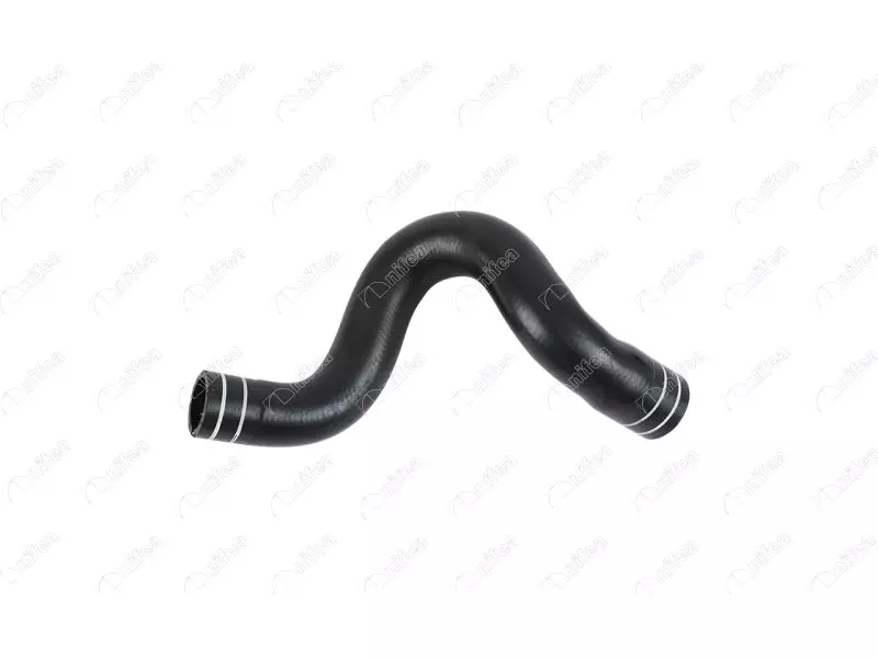 RADIATOR OUTLET HOSE