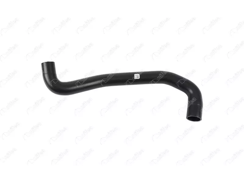 RADIATOR OUTLET HOSE