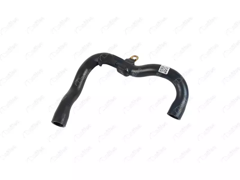 THERMOSTAT HOSE