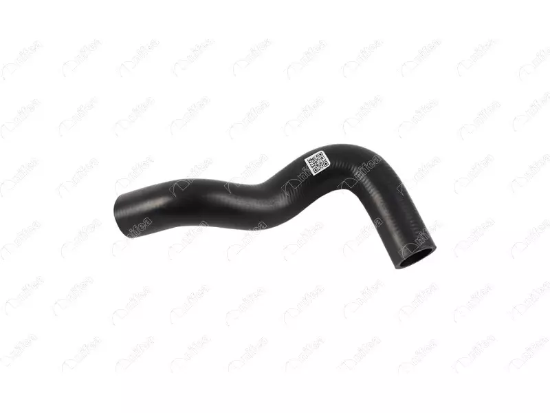 RADIATOR OUTLET HOSE