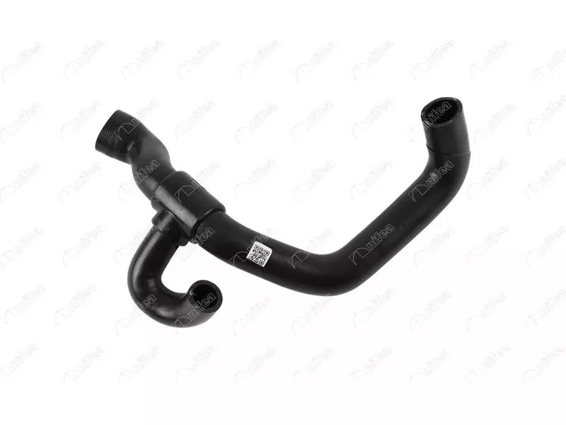RADIATOR OUTLET HOSE
